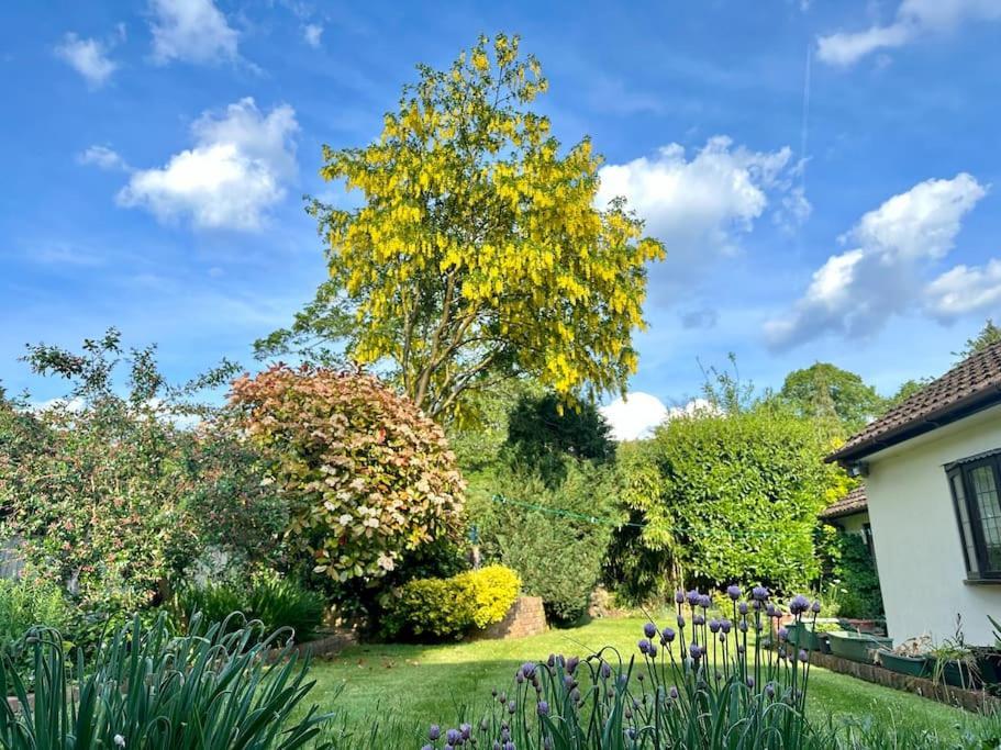 Linden Suite Goring Luaran gambar